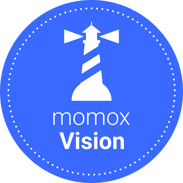 vision